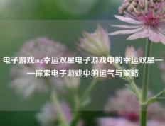 电子游戏mg幸运双星电子游戏中的幸运双星——探索电子游戏中的运气与策略