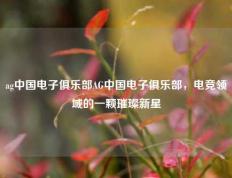 ag中国电子俱乐部AG中国电子俱乐部，电竞领域的一颗璀璨新星