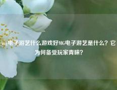 mg电子游艺什么游戏好MG电子游艺是什么？它为何备受玩家青睐？