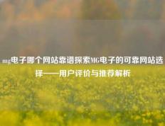 mg电子哪个网站靠谱探索MG电子的可靠网站选择——用户评价与推荐解析