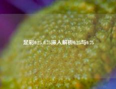 足彩0.25 0.75深入解析0.25与0.75