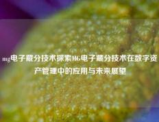 mg电子藏分技术探索MG电子藏分技术在数字资产管理中的应用与未来展望