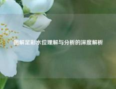 图解足彩水位理解与分析的深度解析