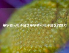 希尔顿mg电子游艺希尔顿MG电子游艺的魅力