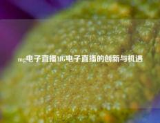 mg电子直播MG电子直播的创新与机遇