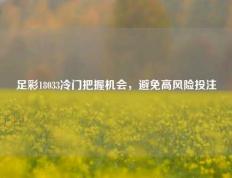 足彩18033冷门把握机会，避免高风险投注