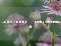 ag在线电子AG在线电子，开启电子竞技的新篇章