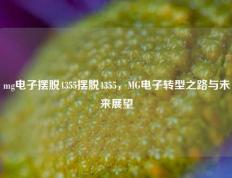 mg电子摆脱4355摆脱4355，MG电子转型之路与未来展望