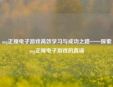 mg正规电子游戏高效学习与成功之路——探索mg正规电子游戏的真谛