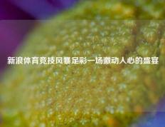 新浪体育竞技风暴足彩一场激动人心的盛宴