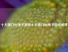 十大澳门MG电子游戏十大澳门MG电子游戏推荐