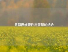足彩思维理性与智慧的结合