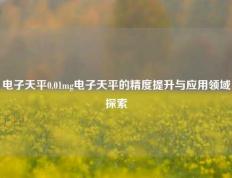 电子天平0.01mg电子天平的精度提升与应用领域探索