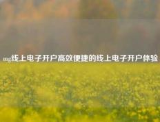 mg线上电子开户高效便捷的线上电子开户体验