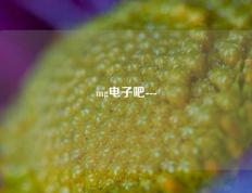 mg电子吧---