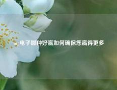 mg电子哪种好赢如何确保您赢得更多