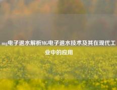 mg电子退水解析MG电子退水技术及其在现代工业中的应用