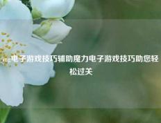 mg电子游戏技巧辅助魔力电子游戏技巧助您轻松过关