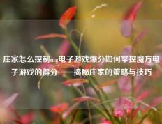 庄家怎么控制mg电子游戏爆分如何掌控魔方电子游戏的得分——揭秘庄家的策略与技巧
