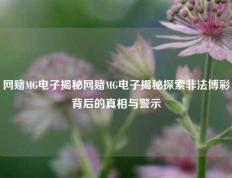 网赌MG电子揭秘网赌MG电子揭秘探索非法博彩背后的真相与警示