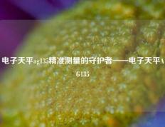 电子天平ag135精准测量的守护者——电子天平AG135