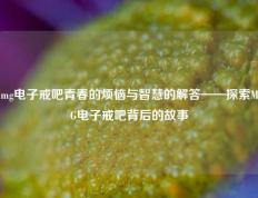 mg电子戒吧青春的烦恼与智慧的解答——探索MG电子戒吧背后的故事