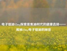 电子烟油12mg探索低焦油时代的健康选择——揭秘12mg电子烟油的秘密