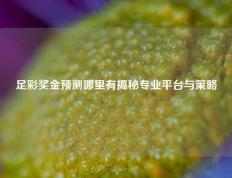足彩奖金预测哪里有揭秘专业平台与策略