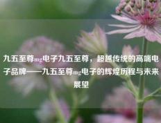 九五至尊mg电子九五至尊，超越传统的高端电子品牌——九五至尊mg电子的辉煌历程与未来展望