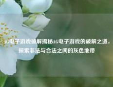 AG电子游戏破解揭秘AG电子游戏的破解之道，探索非法与合法之间的灰色地带