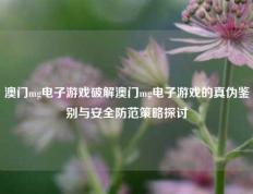澳门mg电子游戏破解澳门mg电子游戏的真伪鉴别与安全防范策略探讨