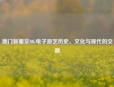 澳门新葡京MG电子游艺历史、文化与现代的交融