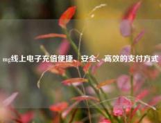 mg线上电子充值便捷、安全、高效的支付方式