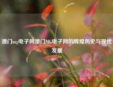 澳门mg电子网澳门MG电子网的辉煌历史与现代发展