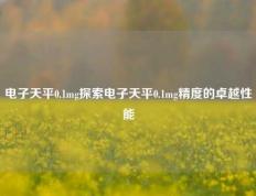 电子天平0.1mg探索电子天平0.1mg精度的卓越性能