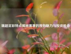 瑞超足彩特点揭秘赛事的独特魅力与投资机会