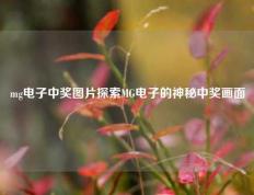mg电子中奖图片探索MG电子的神秘中奖画面