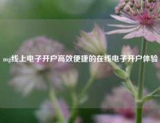 mg线上电子开户高效便捷的在线电子开户体验