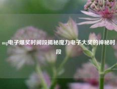 mg电子爆奖时间段揭秘魔力电子大奖的神秘时段