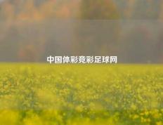 中国体彩竞彩足球网