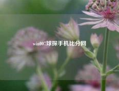 win007球探手机比分网