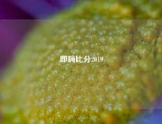 即嗨比分2019