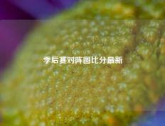 季后赛对阵图比分最新