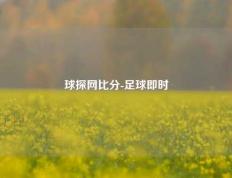球探网比分-足球即时