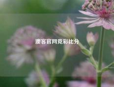 澳客官网竞彩比分