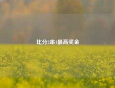 比分2串1最高奖金