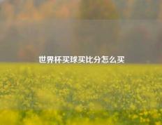 世界杯买球买比分怎么买