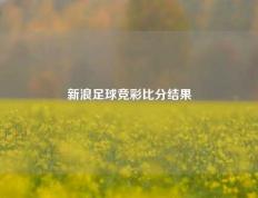 新浪足球竞彩比分结果
