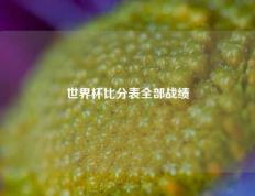 世界杯比分表全部战绩