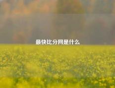最快比分网是什么